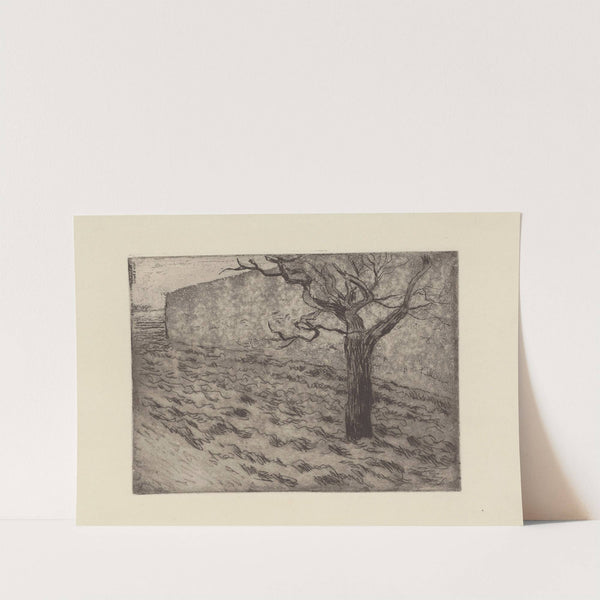 Arbre et terrain labouré (1879) by Camille Pissarro
