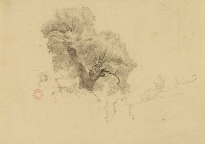 Arbre