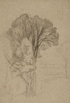 Arbres