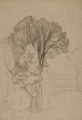 Arbres
