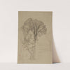 Arbres by Jean-Achille Benouville