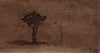 Arbres