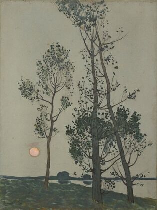 Arbres au clair de lune