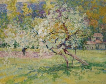 Arbres En Fleur Dans La Prairie, Auvergne — size preview