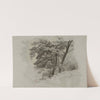 Arbres. by Jean-Achille Benouville