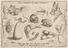 Archetypa studiaque patris Georgii Hoefnagelii Pl.06 (1592)
