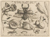 Archetypa studiaque patris Georgii Hoefnagelii Pl.08 (1592)