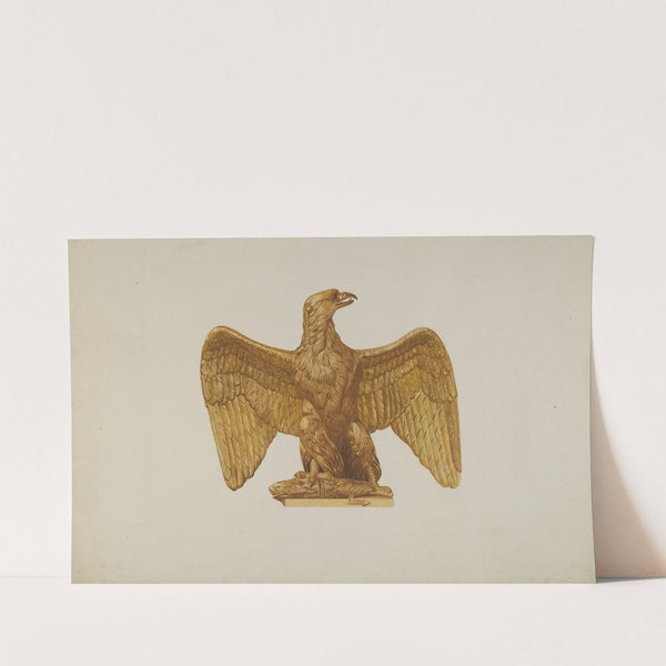 Architectural Ornament (Eagle) by Robert Pohle