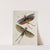 Archives de l&#039;histoire des insectes Pl.49 by Johann Caspar Fuessli