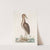 Ardea Stellaris, The brown Bittern. by Mark Catesby