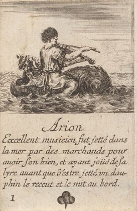 Arion