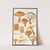 Armillaria aurantia Schäff. Quél. (1915-1945) by Hans Walty