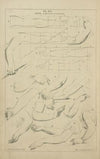Arms – proportions and attitudes