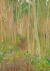 Aspen Symphony