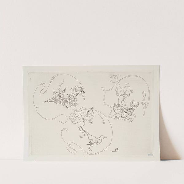 Assiette à dessert; trois motifs composés chacun d’un ruban, d’une fleur et d’un oiseau (1866 - 1878) by Félix Bracquemond