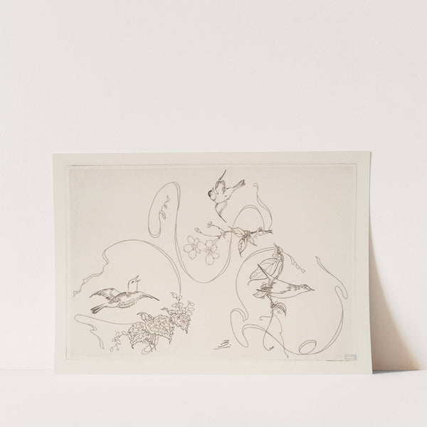Assiette à dessert ; trois motifs composés chacun d’un ruban, d’une fleur et d’un oiseau. (1866 - 1878) by Félix Bracquemond