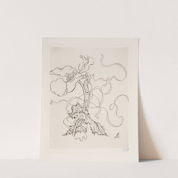 Assiette (coquelicot). (1866 - 1878) by Félix Bracquemond