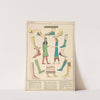 Assyrian - Shoes by Paul Louis de Giafferri