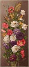 Asters
