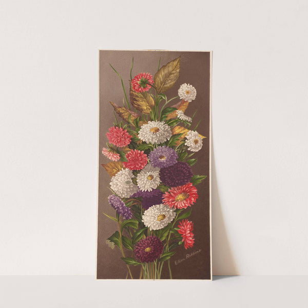 Asters by Ellen Robbins