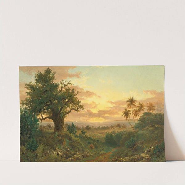 Atardecer by Esteban Chartrand