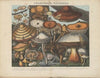 Atlas – Des champignons comestibles, suspects et vÃ©nÃ©neux Pl.10