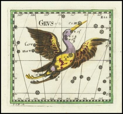 Grus (1730)