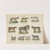 Atlas zoologiczny w 45 tablicach Pl.01 (1852) by D. E. Friedlein