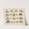Atlas zoologiczny w 45 tablicach Pl.07 (1852) by D. E. Friedlein