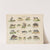 Atlas zoologiczny w 45 tablicach Pl.07 (1852) by D. E. Friedlein
