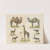 Atlas zoologiczny w 45 tablicach Pl.10 (1852) by D. E. Friedlein
