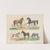 Atlas zoologiczny w 45 tablicach Pl.13 (1852) by D. E. Friedlein