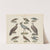 Atlas zoologiczny w 45 tablicach Pl.15 (1852) by D. E. Friedlein