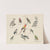 Atlas zoologiczny w 45 tablicach Pl.18 (1852) by D. E. Friedlein
