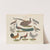 Atlas zoologiczny w 45 tablicach Pl.26 (1852) by D. E. Friedlein