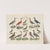 Atlas zoologiczny w 45 tablicach Pl.29 (1852) by D. E. Friedlein