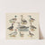 Atlas zoologiczny w 45 tablicach Pl.30 (1852) by D. E. Friedlein