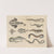 Atlas zoologiczny w 45 tablicach Pl.35 (1852) by D. E. Friedlein