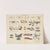 Atlas zoologiczny w 45 tablicach Pl.41 (1852) by D. E. Friedlein