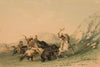 Attacking the Grizzly Bear