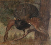 Auerhahn