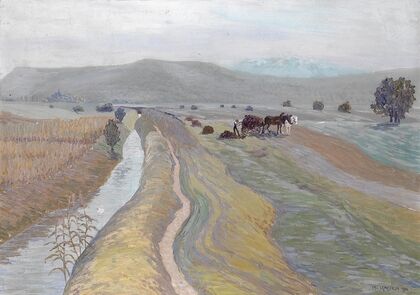 Auf dem Feld