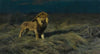 Auf der Suche nach Beute (In Search of Prey)