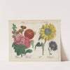 Autumn Flowers by Charlotte Mary Yonge
