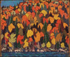 Autumn Foliage