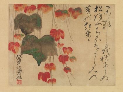 Autumn Ivy (after 1732)