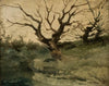 Autumn landscape