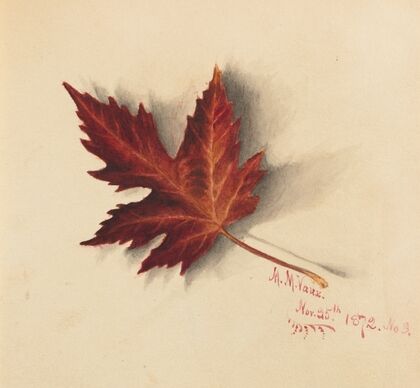 Autumn Leaf (1872)