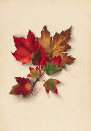 Autumn Leaves 2 (1874)