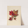 Autumn Leaves 2 (1874) by Mary Vaux Walcott